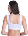 Seamless Cotton Air Bra - Multicolor (Pack of 3)